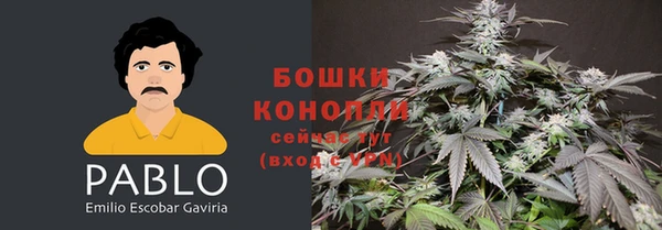прущая мука Лагань