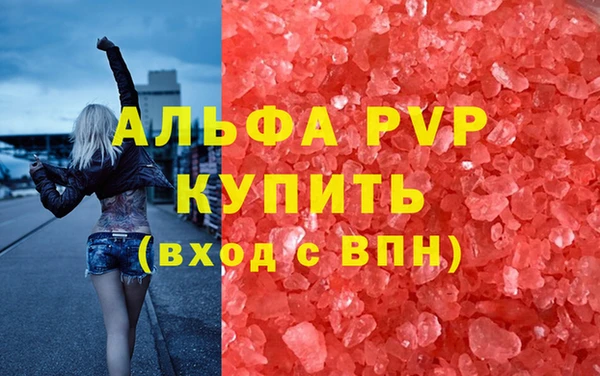 PSILOCYBIN Великий Новгород