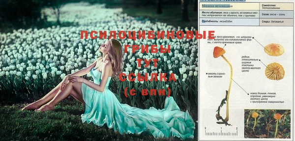 кокаин Лабытнанги