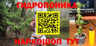 гашик Балаково