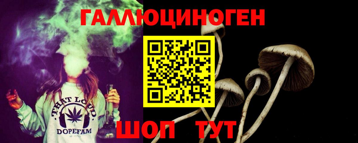 Саратов  Псилоцибиновые грибы Psilocybe  Галлюциногенные грибы ЛСД  Вход с VPN 